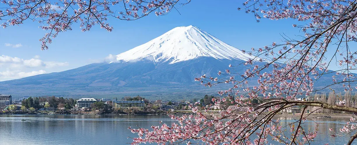 Co może rosnąć w japońskich górach? Odkryj niezwykłą florę Japonii