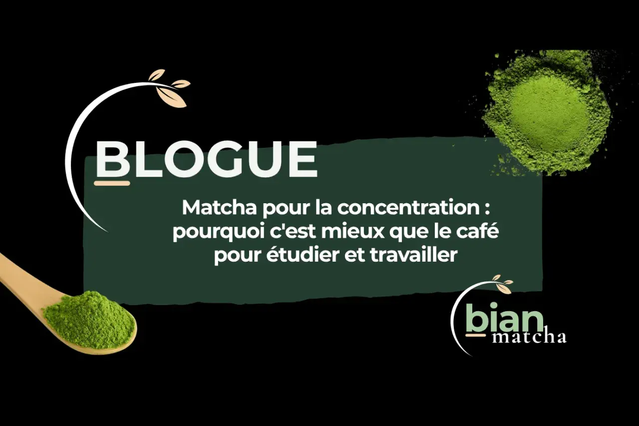Le matcha, idéal pour la concentration : découvrez pourquoi boire du matcha est mieux que le café pour étudier et travailler.