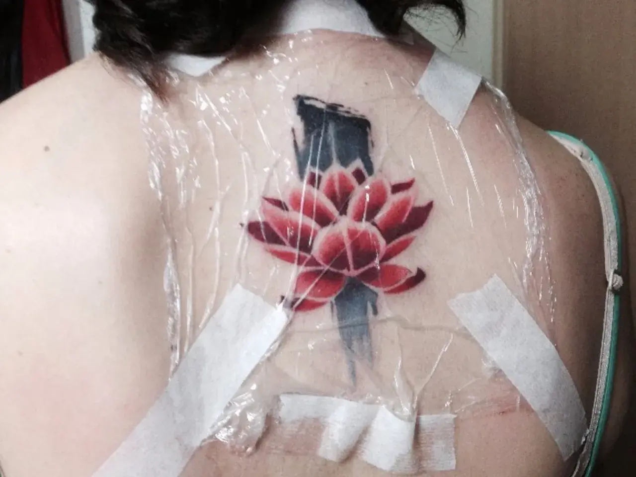 Flor de loto roja y azul recién tatuada en la espalda, cubierta con plástico y cinta. Preguntándose cuanto tarda en cicatrizar un tatuaje.