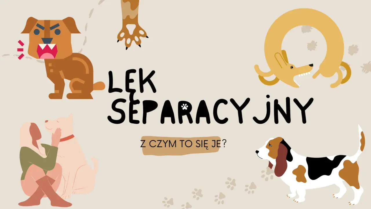 Ilustracja przedstawia psy w różnych sytuacjach, sugerując lęk separacyjny. Widoczny jest wściekły pies, pies przytulający się do człowieka i pies w kształcie koła.
