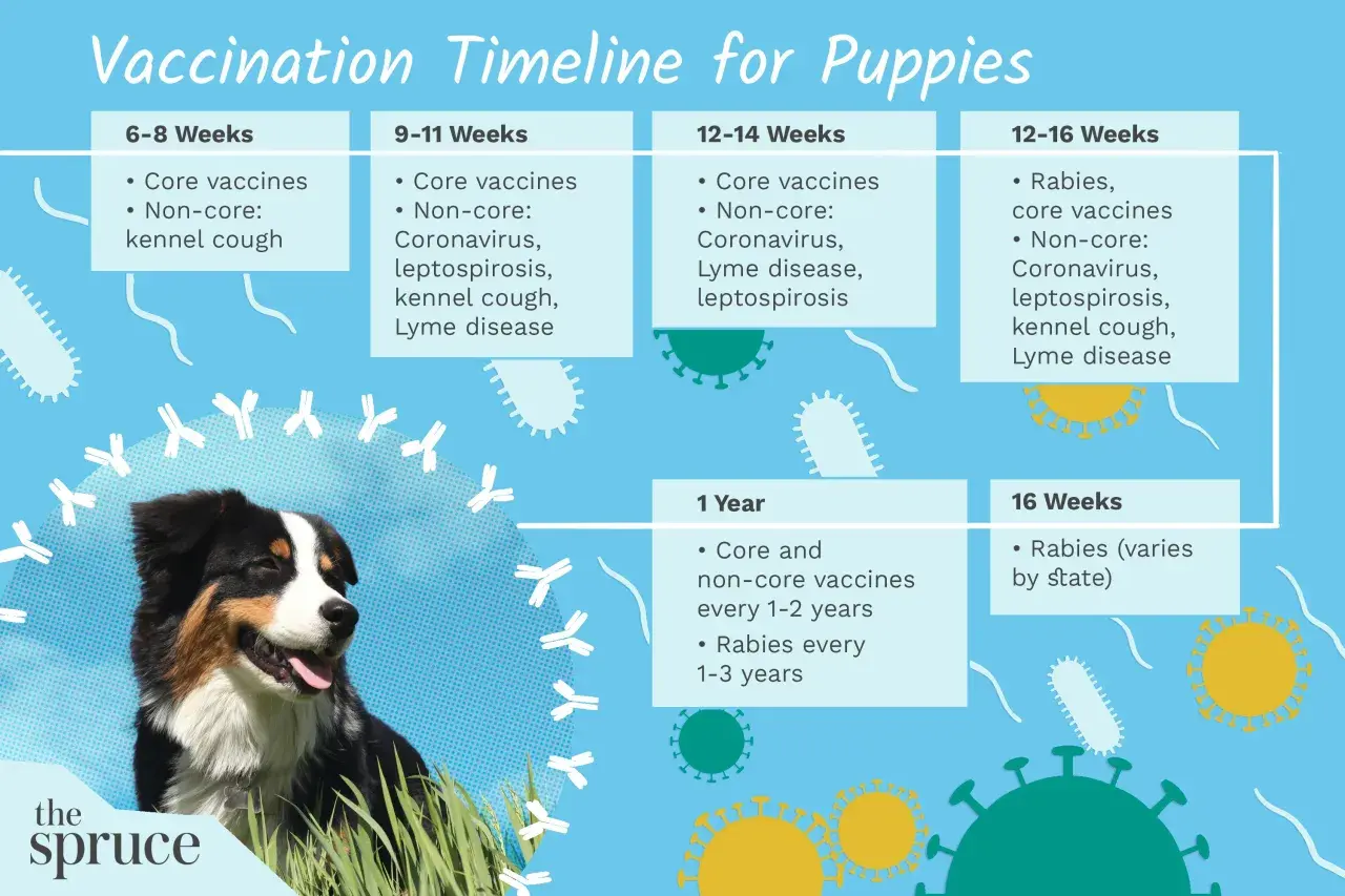 Puppy vaccine schedule chart showing core and non-core vaccinations by age, from 6 weeks to 1 year, with a happy dog.