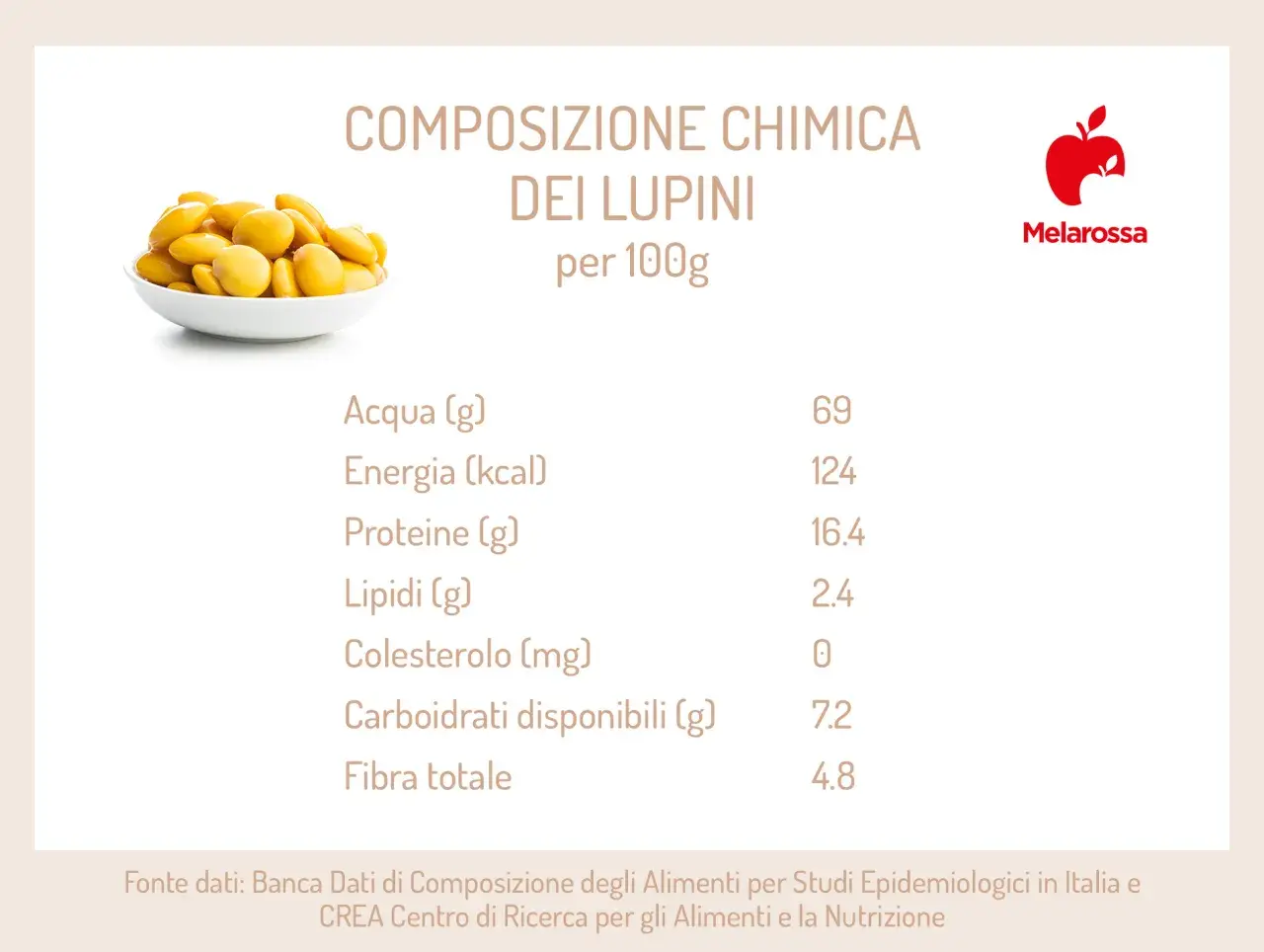 Tavola nutrizionale dei lupini di mare: 100g contengono 124 kcal, 16.4g di proteine e 4.8g di fibra.