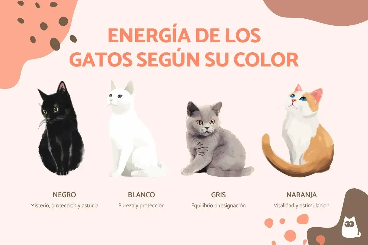 Un gato negro misterioso, uno blanco puro, un gris sereno y un naranja vital, mostrando la energía de los gatos según su color.