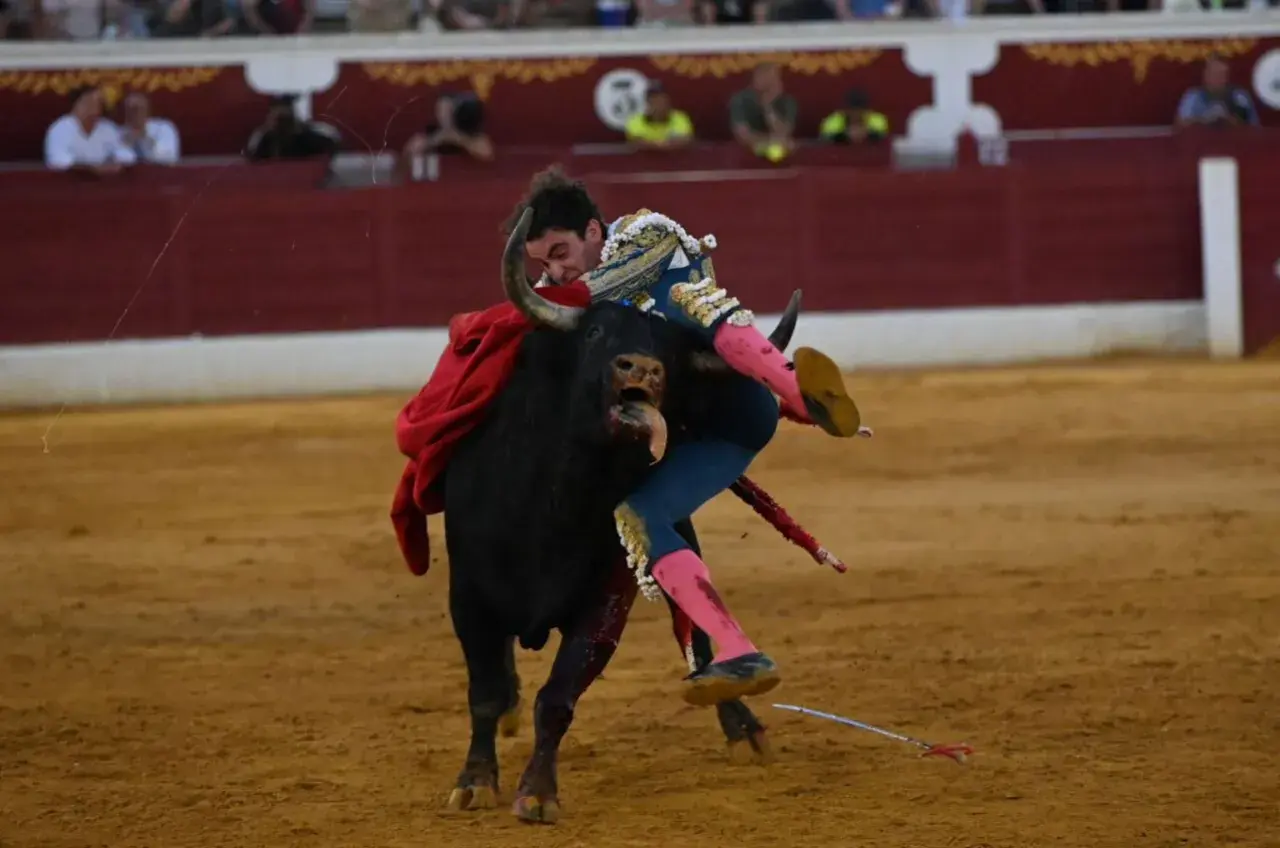 Un torero es embestido por un toro en la arena. El torero, con su traje de luces, cae al suelo, demostrando que una retirada a tiempo es una victoria, significado de prudencia.