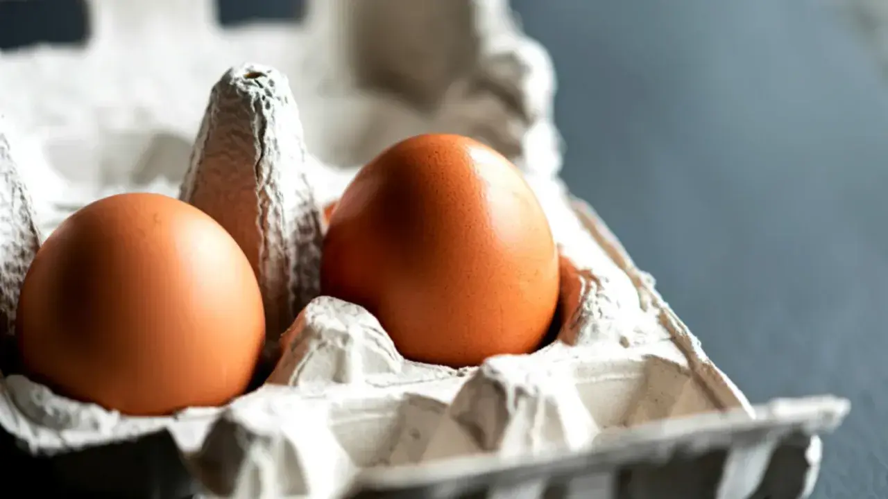 Deux œufs bruns dans un carton, prêts à congeler pour une utilisation future.