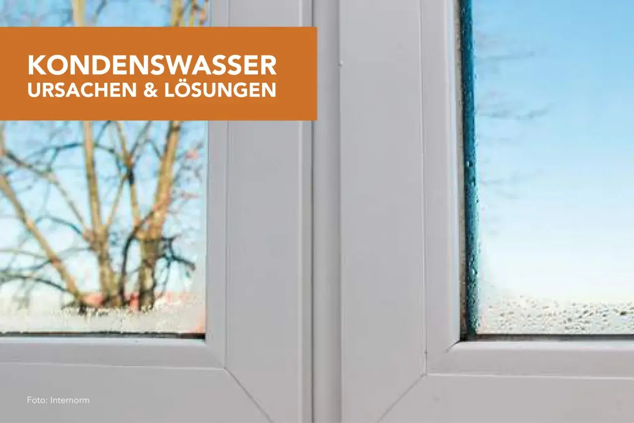 Kondenswasser an der Wand zeigt sich als feine Tropfen auf der Fensterscheibe. Ursachen und Lösungen für dieses Problem werden hier beleuchtet.