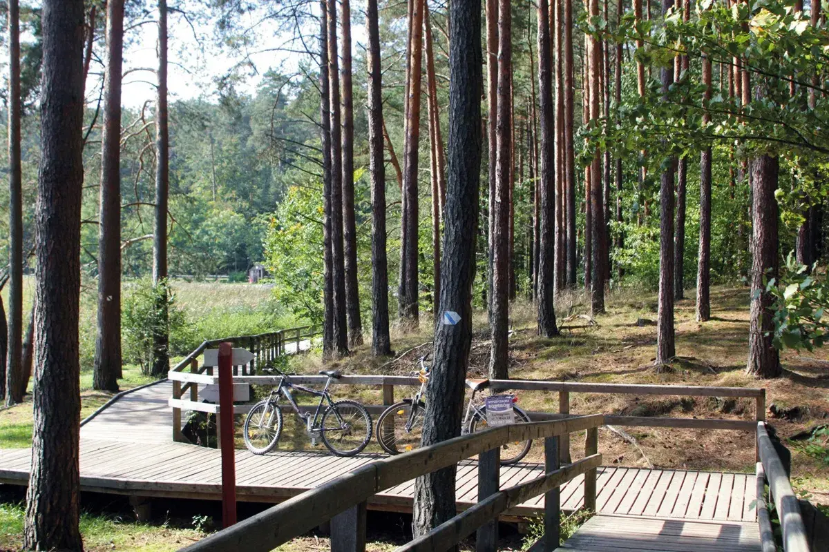 Drewniane kładki i dwa rowery na ścieżce w lesie. Idealne miejsce na odkrywanie tras rowerowych Zwierzyniec.