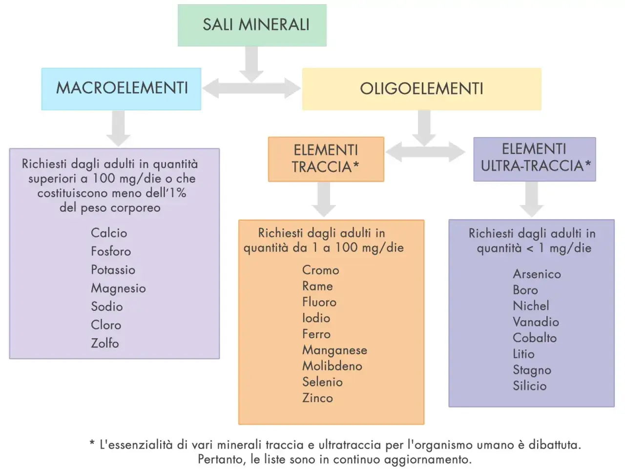 Schema sui sali minerali: macroelementi, oligoelementi, elementi traccia e ultra-traccia, con esempi di minerali essenziali per l'organismo.