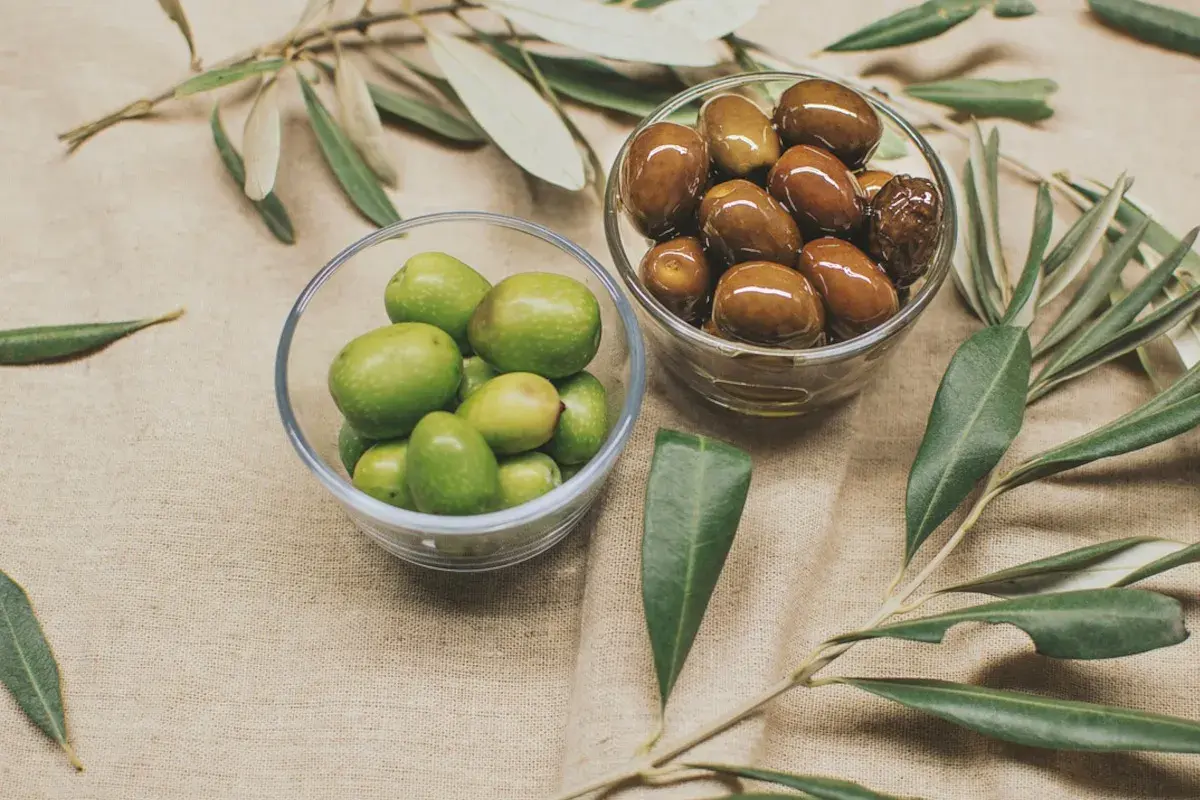Due ciotole di vetro mostrano due tipi di olive: verdi e marroni, con rami d'ulivo sullo sfondo.