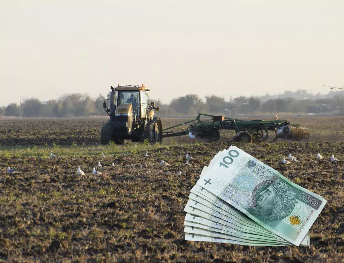 Młody rolnik pracuje na polu, za nim widać pług i stos banknotów 100 zł. Ptaki krążą nad ziemią.