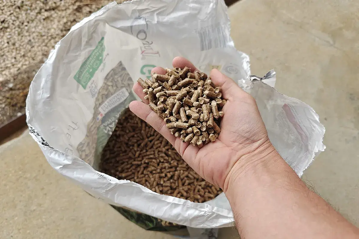 Main d'homme tenant des granulés de bois, pour estimer la consommation pellet par jour. Sac ouvert en arrière-plan.