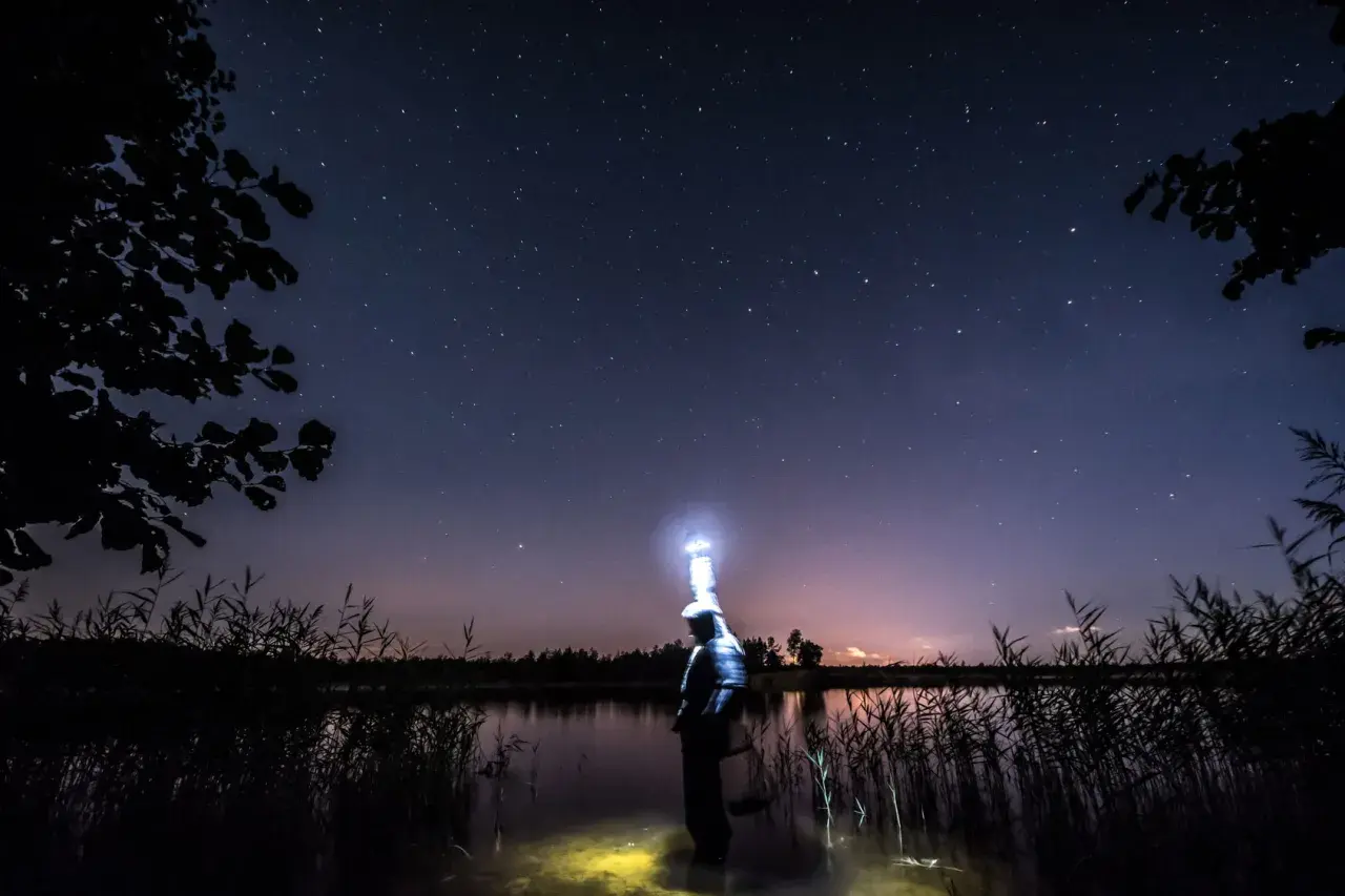 Ein Angler steht nachts im Wasser, beleuchtet von seiner Stirnlampe, unter einem sternenklaren Himmel.