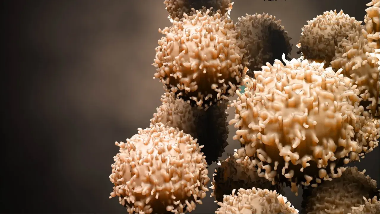 Des cellules immunitaires, peut-être affaiblies, se regroupent dans un espace sombre.