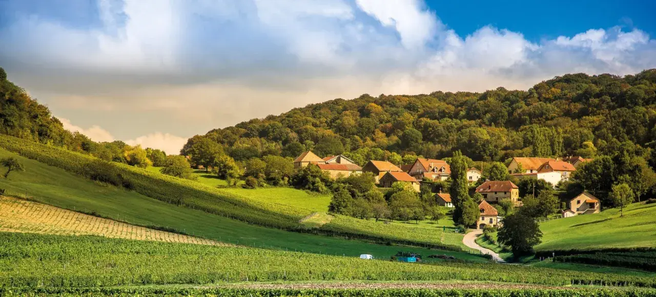 Paysage bucolique avec vignobles en terrasses menant à un hameau pittoresque, évoquant le charme du domaine Roumier.