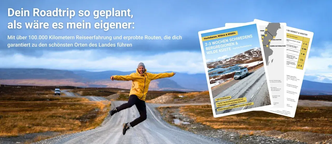 Mann springt auf einsamer Straße in Schweden. Digitale Routenkarten für deinen Roadtrip mit vielen schweden reisetipps.