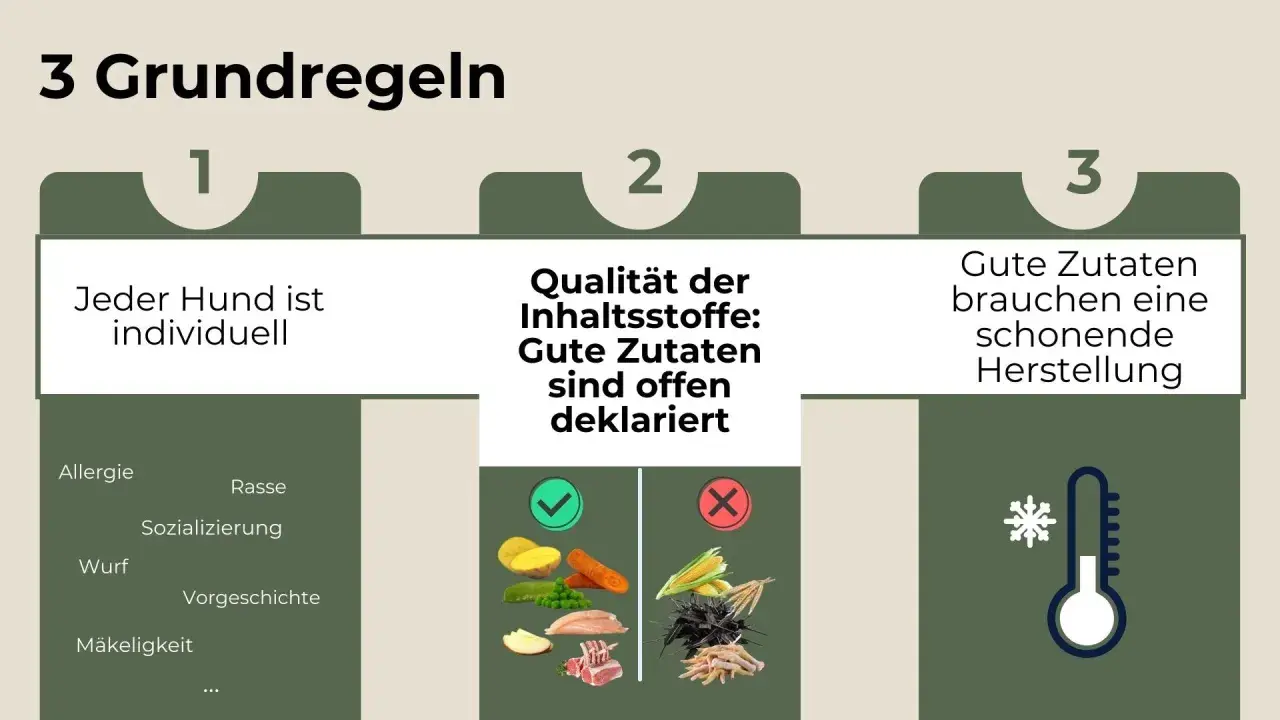 Drei Regeln für die ideale Zusammensetzung von Hundefutter: Individuelle Bedürfnisse, offene Deklaration guter Zutaten und schonende Herstellung.