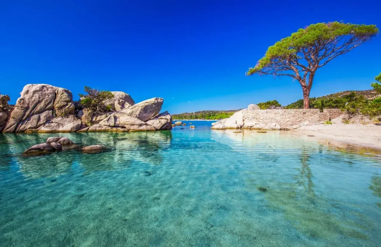 Klares, türkises Wasser an einem Strand mit Felsen und einem Baum. Ein Ort, wo es Ende Oktober noch warm ist.