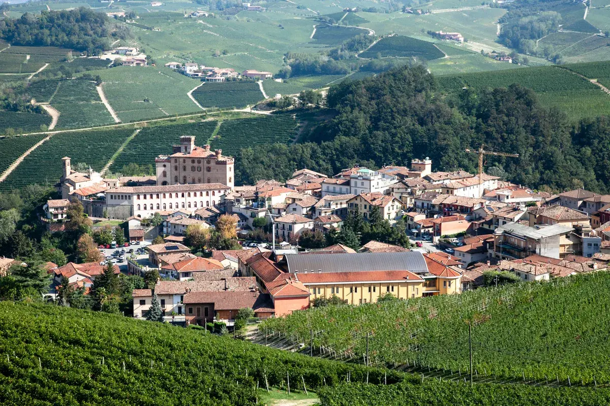 Colline verdi delle Langhe, con vigneti rigogliosi che circondano un borgo dominato da un castello. L'atmosfera evoca la produzione del pregiato Barolo.