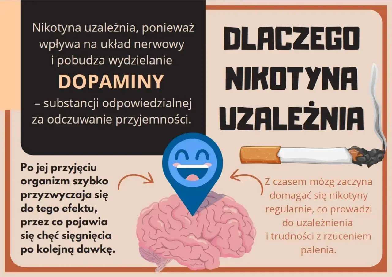 Grafika wyjaśnia, dlaczego nikotyna uzależnia, wpływając na mózg i dopaminę. Organizm szybko się przyzwyczaja, co prowadzi do trudności z rzuceniem palenia.