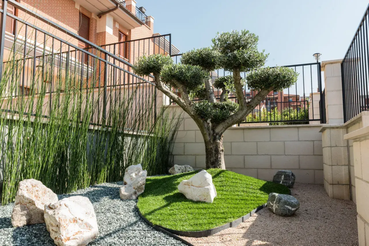 Un ulivo solitario su un'isola di erba sintetica, circondato da ghiaia e rocce. Le **bordure intorno agli alberi** sono definite da un sottile bordo nero.
