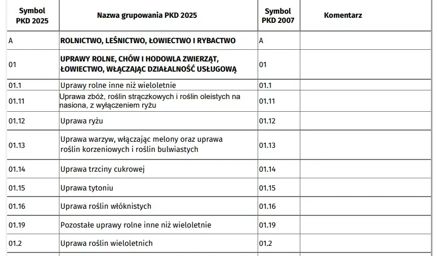 Przeważające PKD krok po kroku: Jak bez stresu ustalić główny kod działalności