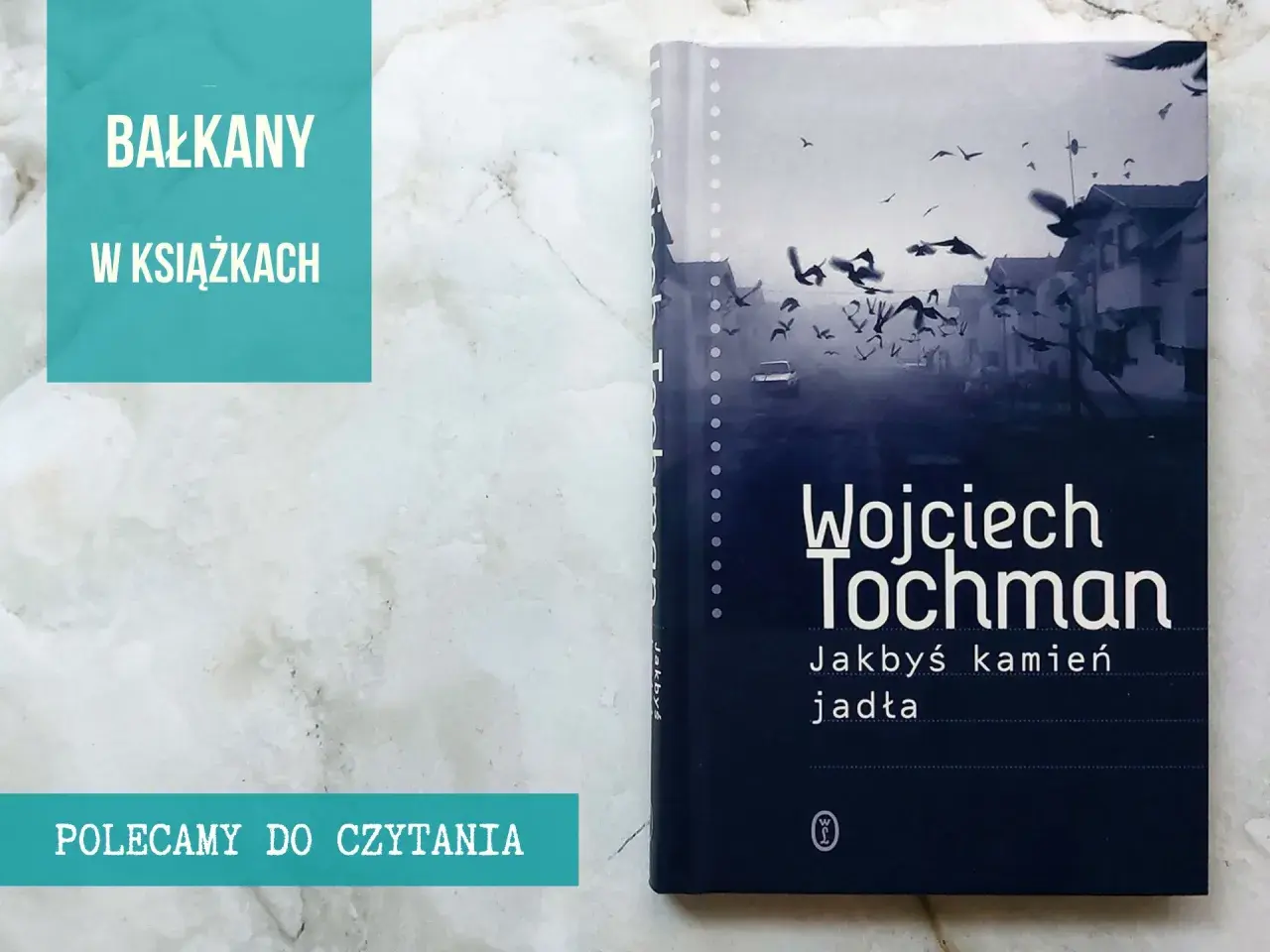 Okładka książki Wojciecha Tochmana "Jakbyś kamień jadła" z ptakami nad miastem. Polecamy do czytania.