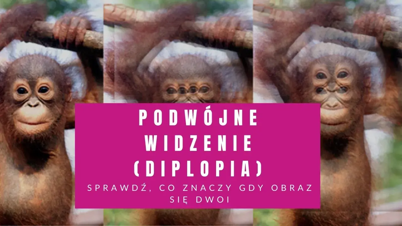 Małpka z potrójnymi oczami, jakby miała podwójne widzenie. Sprawdź, co to znaczy, gdy obraz się dwoi.