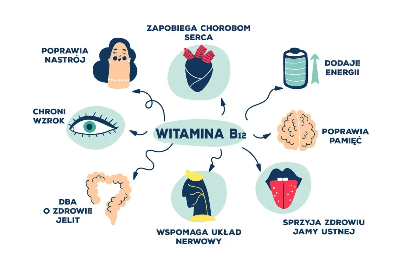 Wykres pokazuje korzyści witaminy B12: poprawia nastrój, chroni wzrok, dba o jelita, wspiera układ nerwowy, poprawia pamięć, dodaje energii, zapobiega chorobom serca i sprzyja zdrowiu jamy ustnej. Nadmiar witaminy B12 nie jest wskazany.