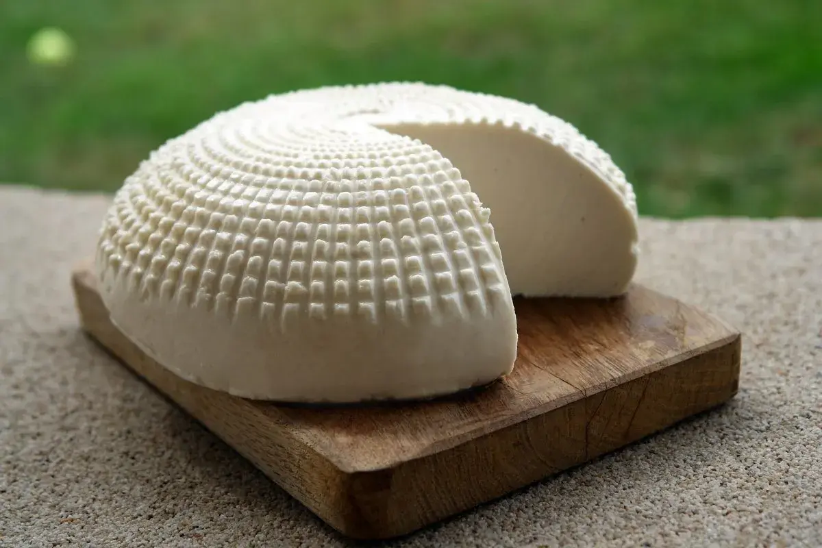 Formaggio fresco a forma di cupola, con una texture a griglia, su un tagliere di legno. Una fetta è stata rimossa, rivelando la morbida ricotta vaccina.