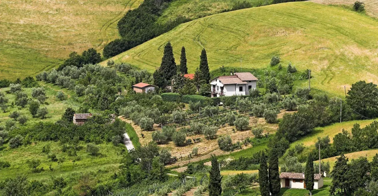 Colline toscane con uliveti e vigneti, dove si intravedono piccoli borghi vicino a San Casciano Val di Pesa.