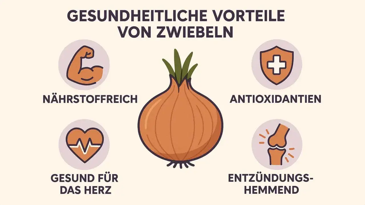 Gesundheitliche Vorteile von Zwiebeln: Nährstoffreich, Antioxidantien, gut fürs Herz, entzündungshemmend. Zwiebeln sind gesund!