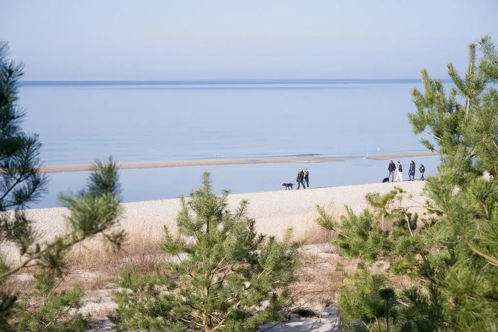 Dlaczego nad morzem nie ma komarów? Odkryj tajemnice ich braku