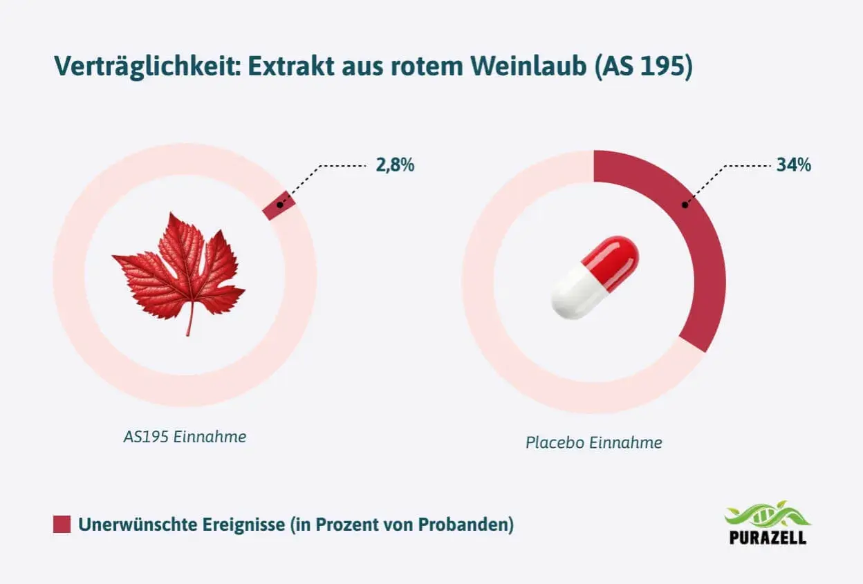 Vergleich der Verträglichkeit: Rotes Weinlaub (AS195) zeigt nur 2,8% unerwünschte Ereignisse, Placebo 34%.