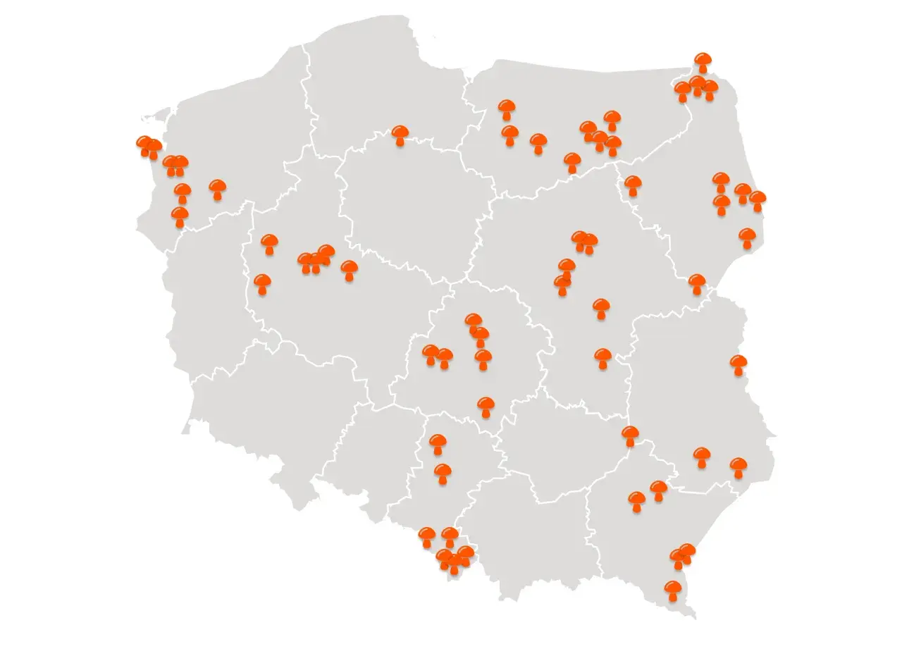 Mapa Polski z zaznaczonymi pomarańczowymi grzybami w różnych lokalizacjach.