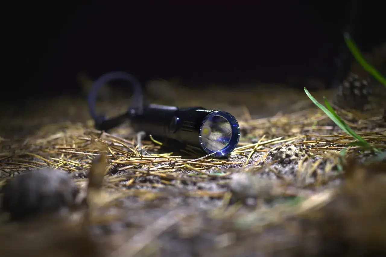 Latarka Olight M2R Warrior leży na ściółce leśnej, gotowa do akcji.