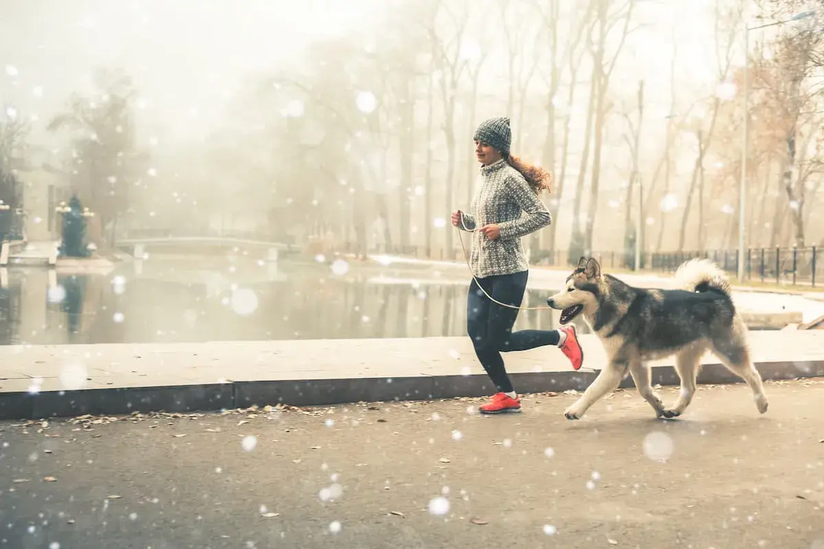 Kobieta i jej pies husky cieszą się wspólnym bieganiem w zimowy, mglisty dzień nad jeziorem.