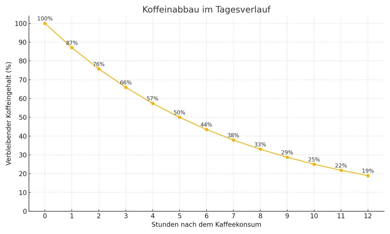 Der Graph zeigt den Koffeinabbau im Körper über 12 Stunden. Nach 12 Stunden sind nur noch 19% des ursprünglichen mg Koffein pro Tag vorhanden.