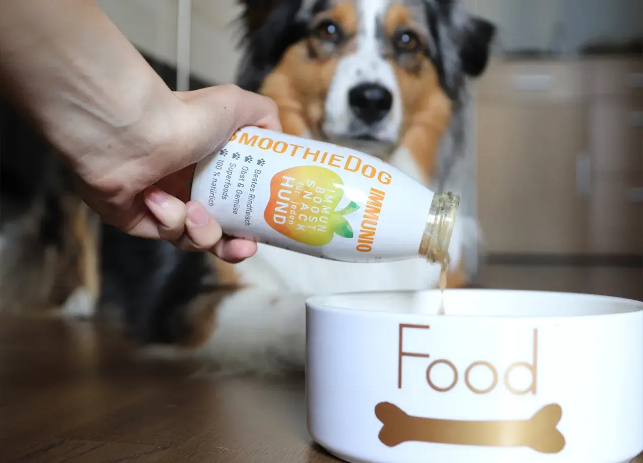 Hand gießt Smoothie für Hund ins Futter. Der Hund frisst im Urlaub nicht, aber dieser Snack könnte helfen.