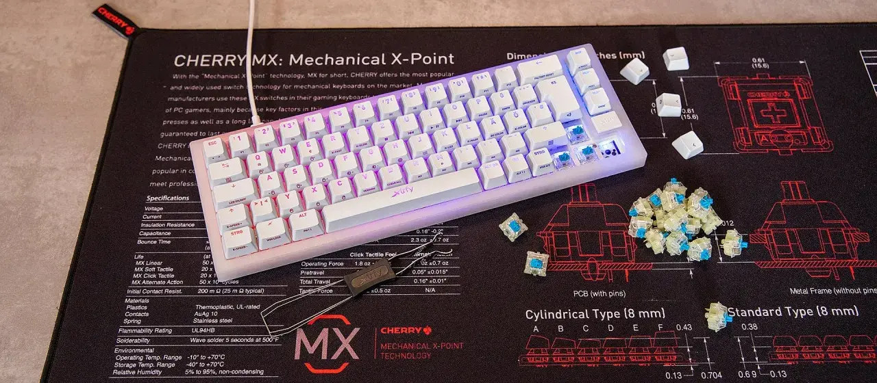 Mechanische Tastatur-Switches: CHERRY MX erklärt die Tastatur Switches Unterschiede. Blaue Switches liegen neben der Tastatur.