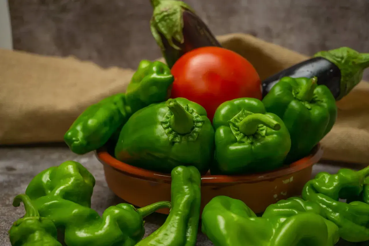 Verdure fresche: peperoni verdi, pomodoro e melanzane. Queste sono solanacee, cosa sono? Famiglia di piante da orto.