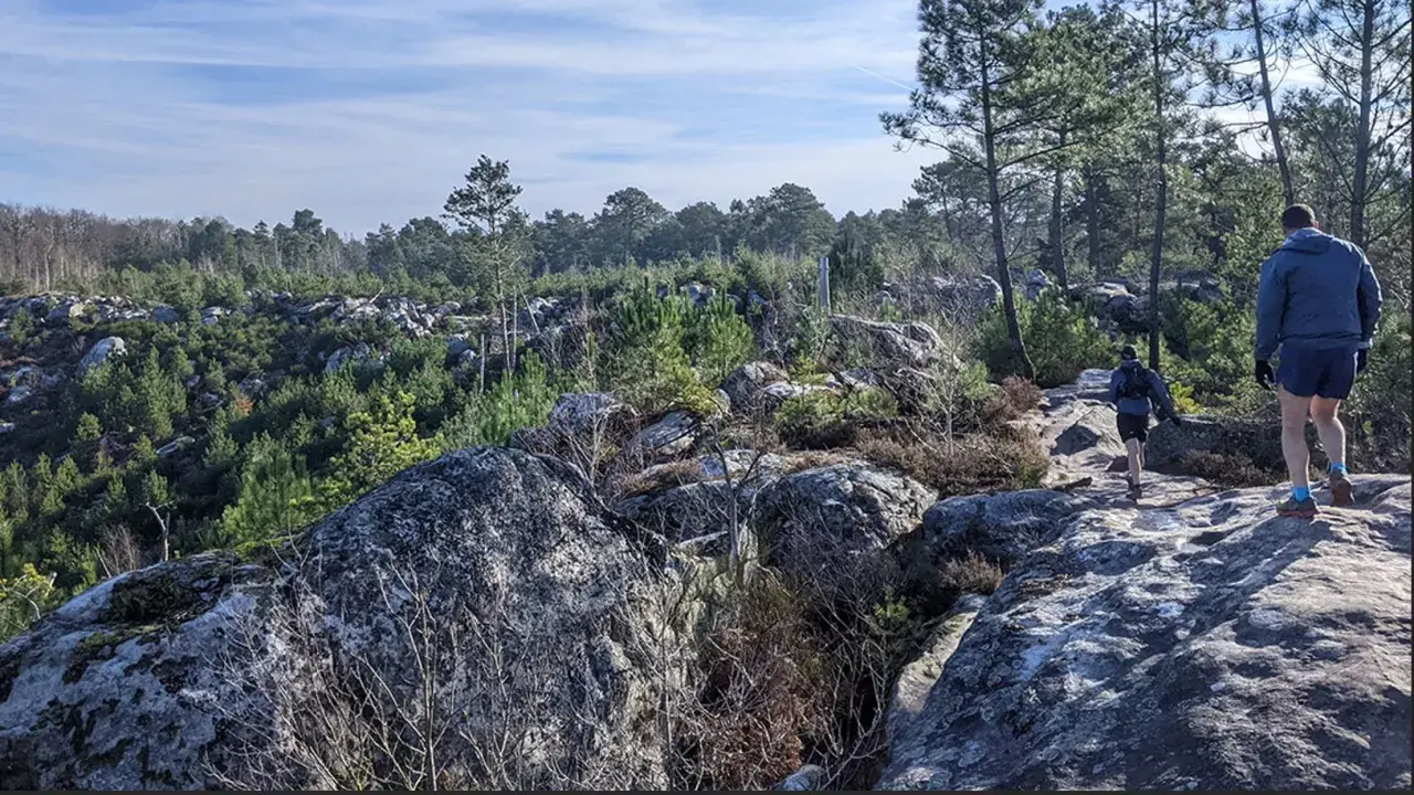 Deux coureurs s'aventurent sur un sentier rocheux dans la forêt de Fontainebleau, entourés de pins et de blocs de grès.