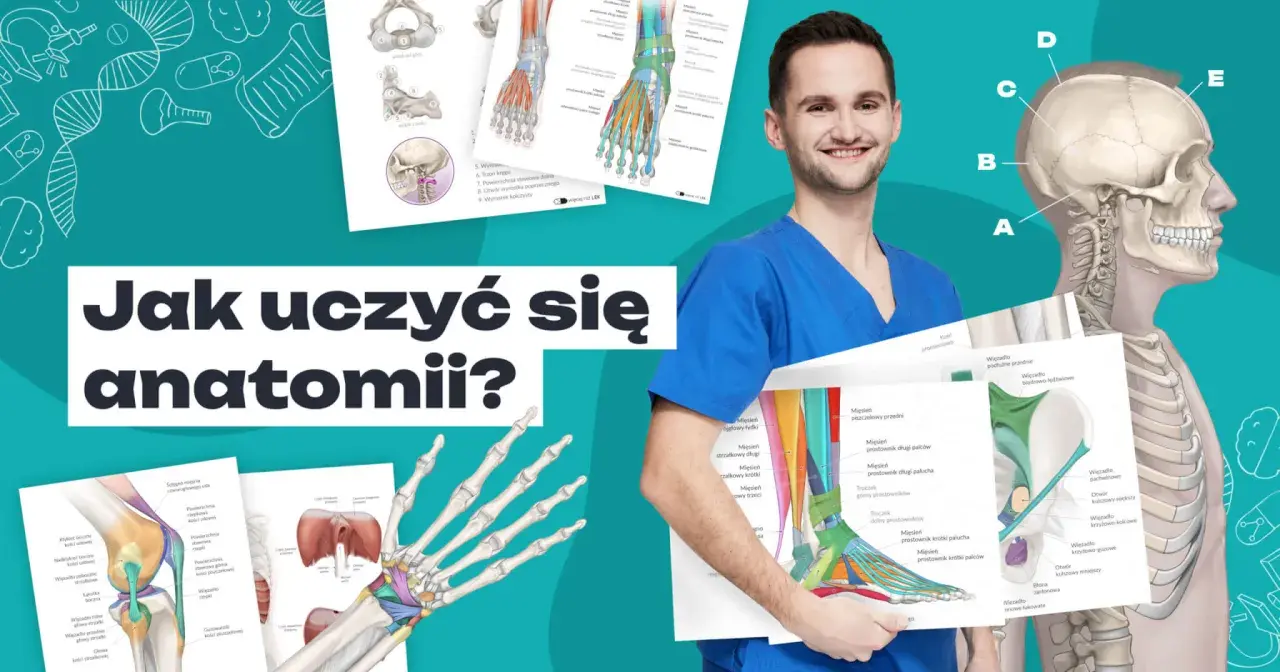 Nauka anatomii: Zdałem! Skuteczne metody i aplikacje 3D