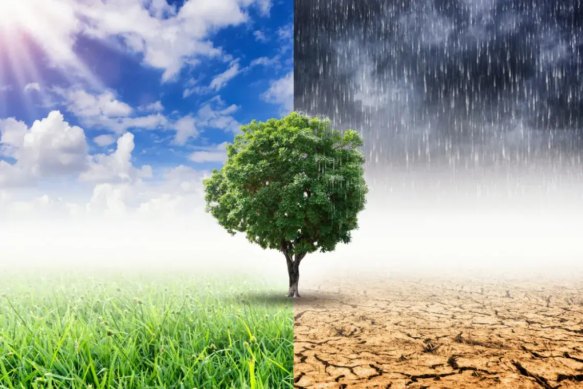 Co zmienia klimat? Poznaj przyczyny i skutki zmian klimatycznych
