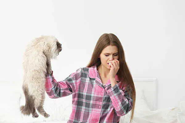 Devon Rex alergia – czy to idealny kot dla alergików?