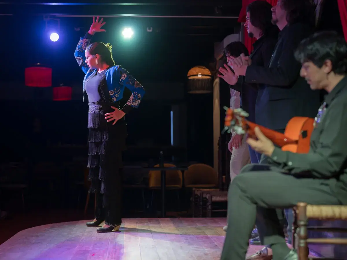 Una bailaora de flamenco, con su falda de flecos y chaqueta bordada, cautiva al público. A su lado, músicos y palmeros acompañan con pasión.