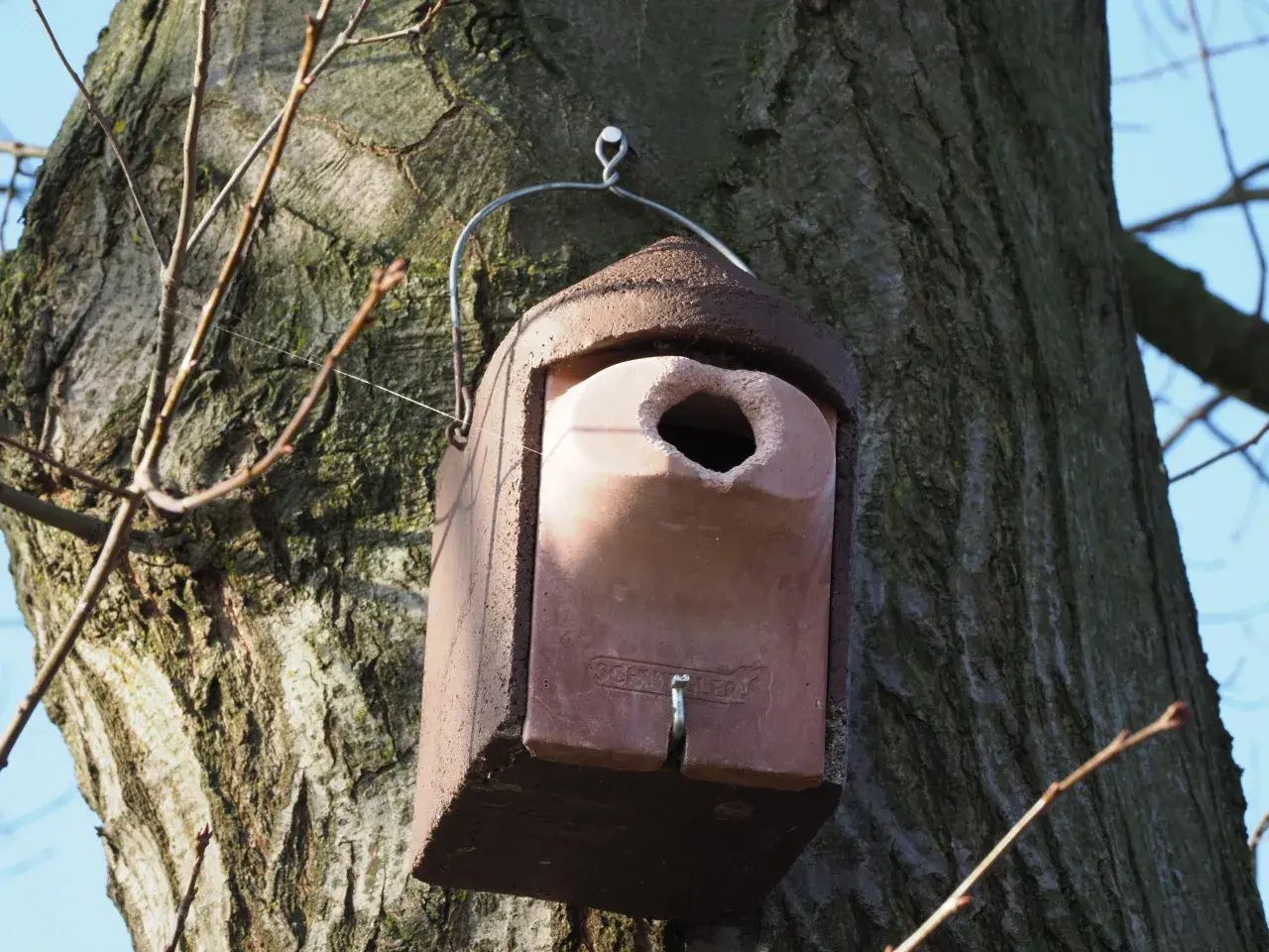 Ein Nistkasten für Spechte hängt an einem Baum.