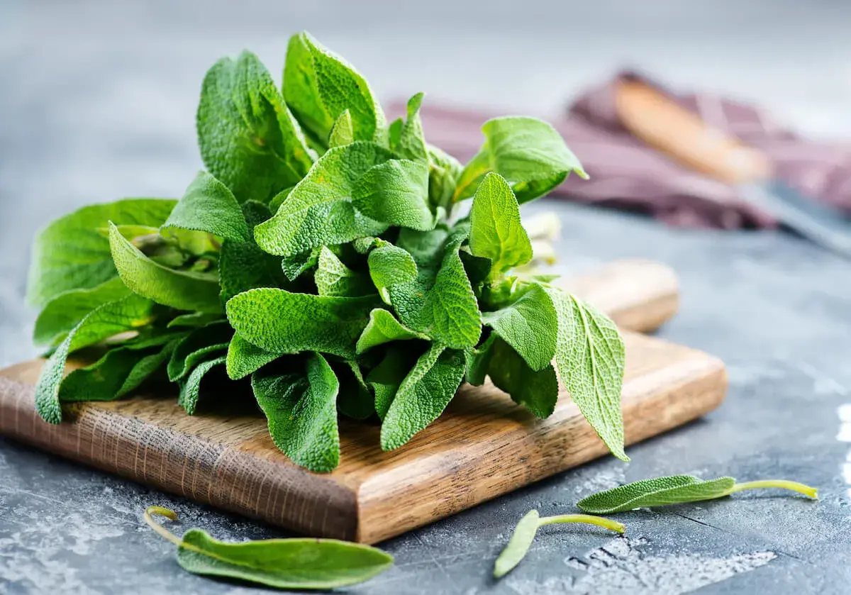 Un mazzo di salvia fresca su un tagliere di legno. Scopri come usare la salvia in cucina per insaporire i tuoi piatti.
