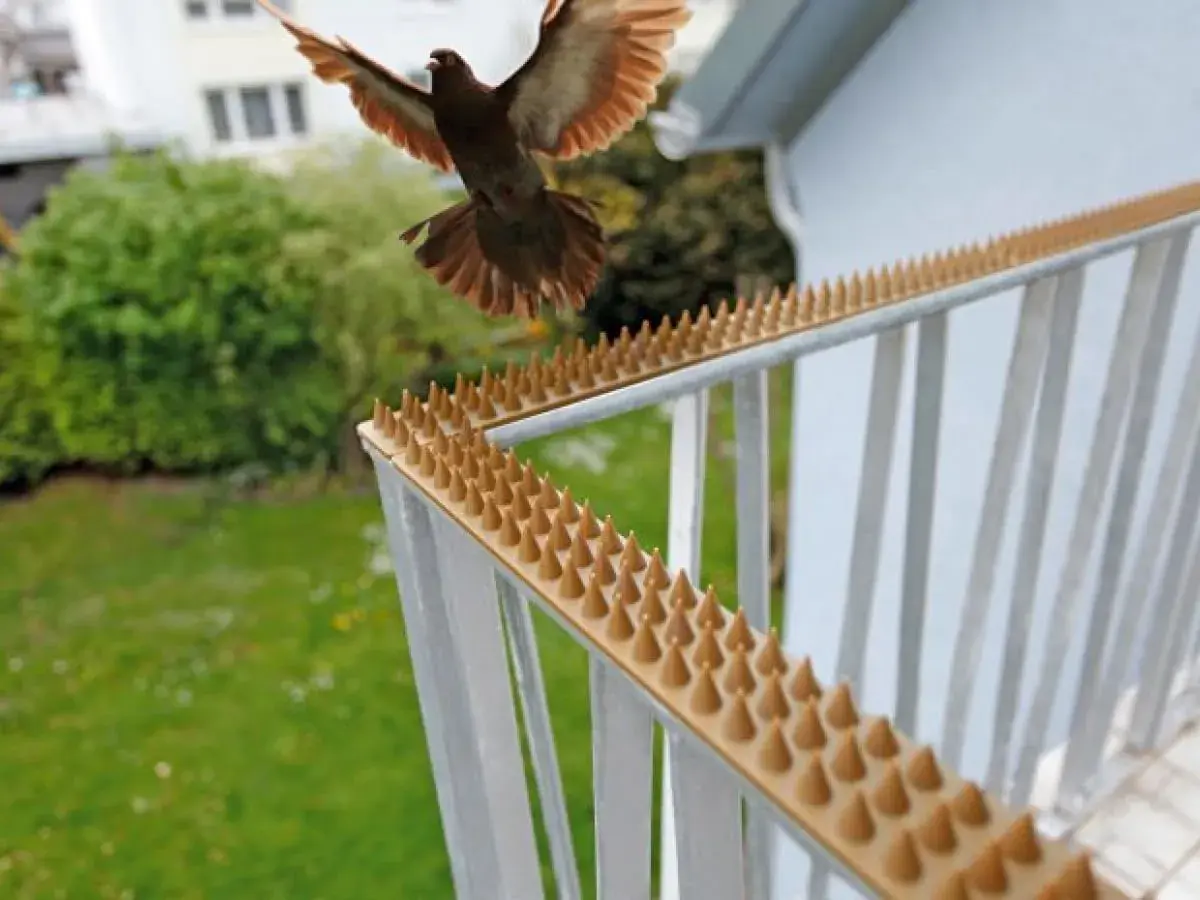 Kolce na balustradzie to skuteczny sposób, jak odstraszyć wróble i inne ptaki od siadania na balkonie.