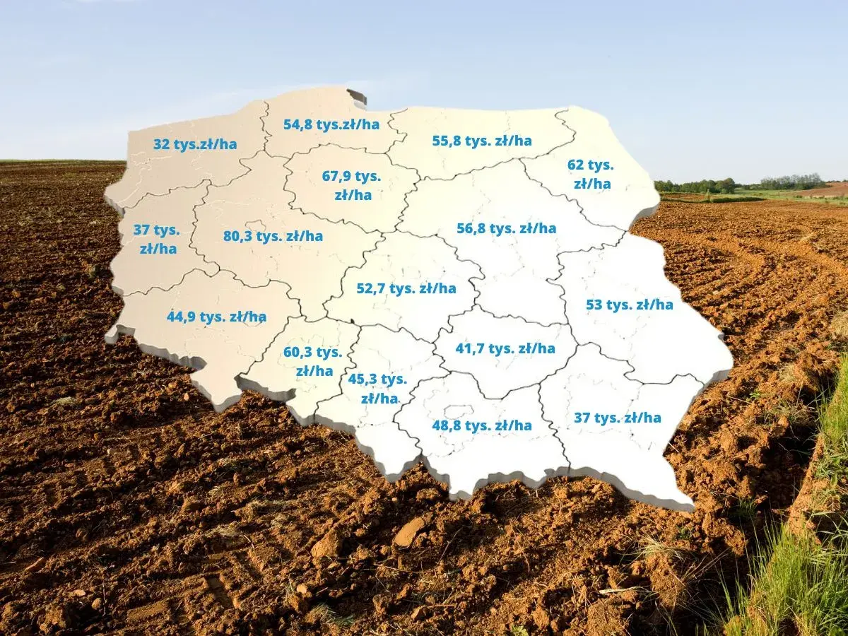 Mapa Polski z zaznaczonymi cenami za hektar ziemi. Sprawdź, ile kosztuje hektar ziemi w Twoim regionie.