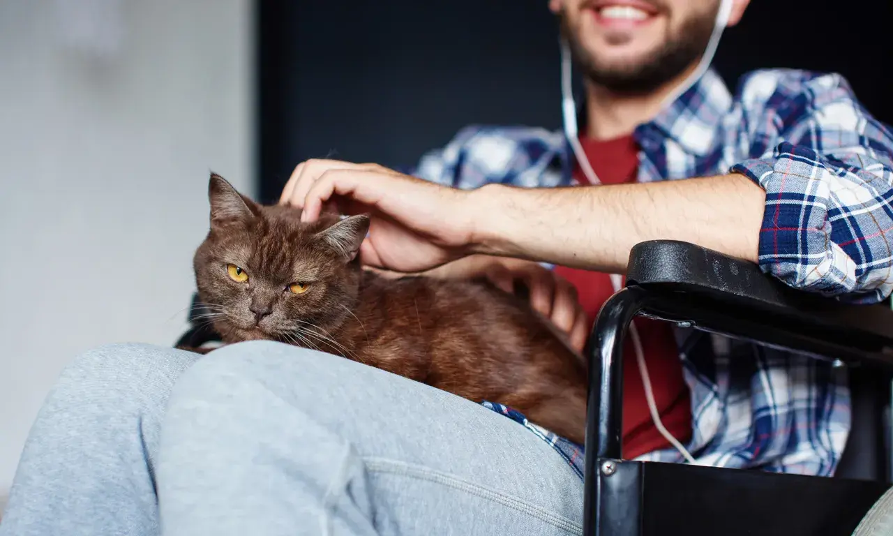 Uśmiechnięty mężczyzna na wózku głaszcze kota. To piękny przykład felinoterapii, która przynosi radość i ukojenie.